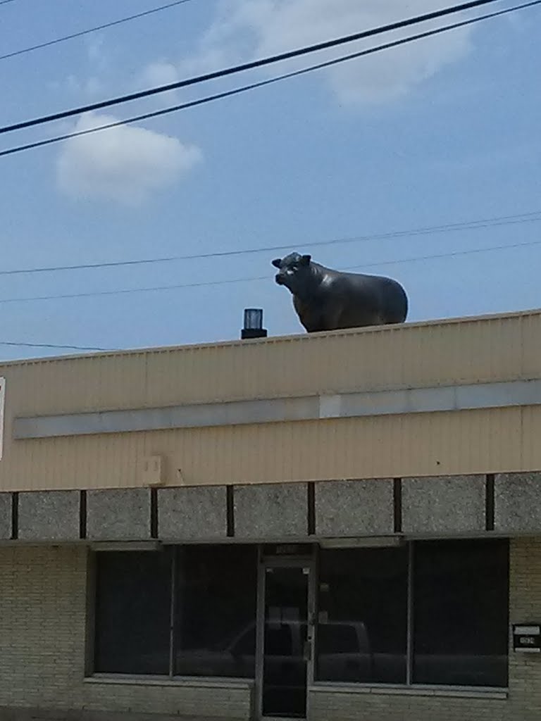 Plastic Bull on roof of building, Пасадена