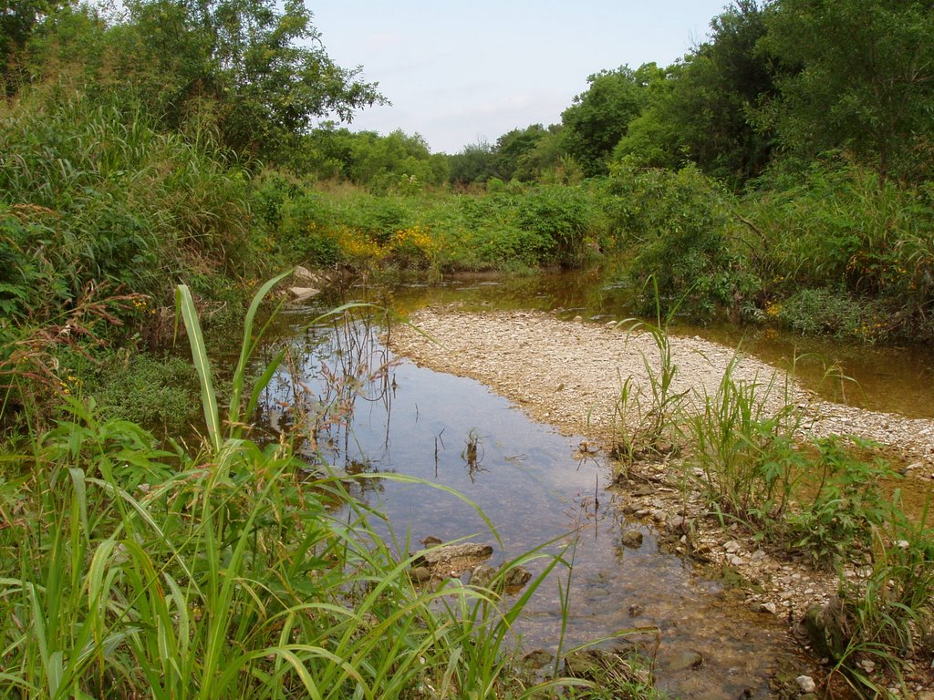 Salado Creek in San Antonio, Пирсалл