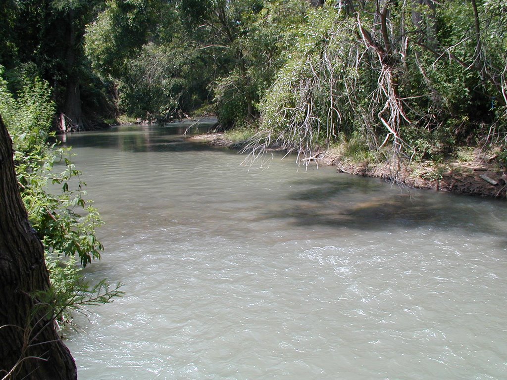 The Medina River, Пирсалл