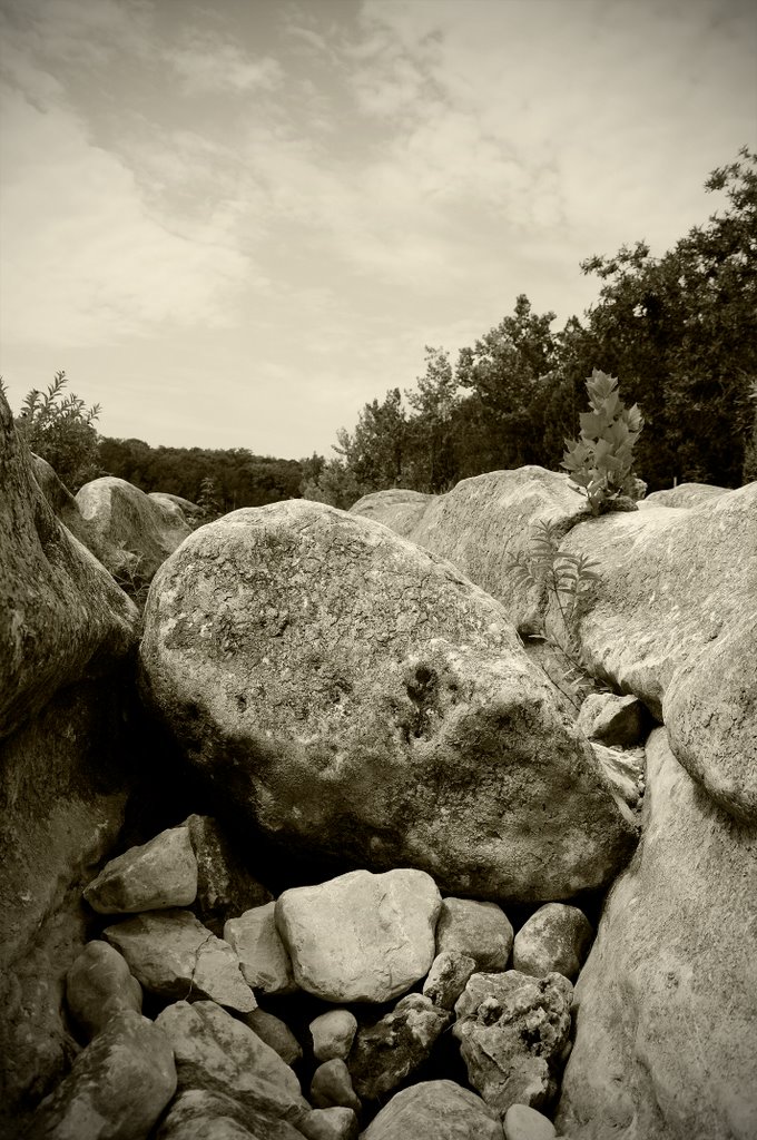 Rock in dry Barton Creek Greenbelt, Роллингвуд