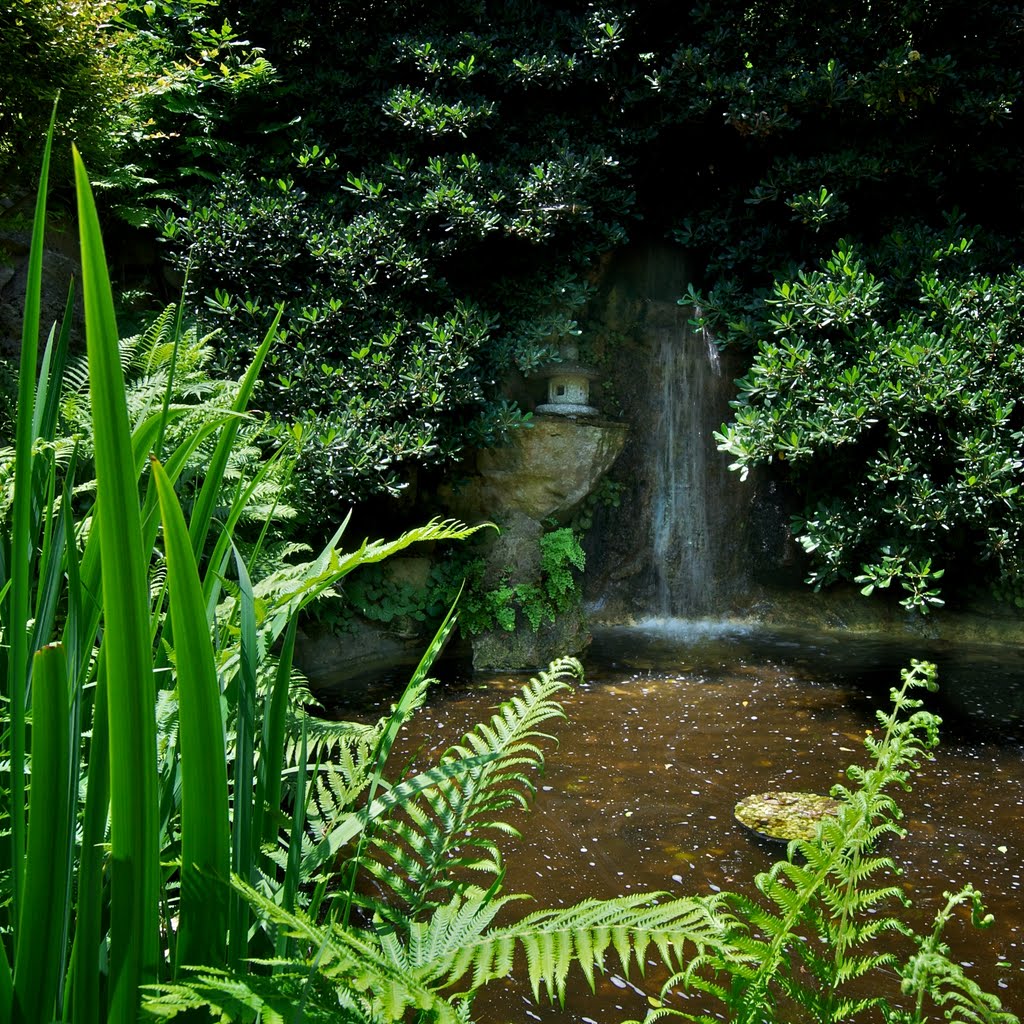 Japanese Gardens at Zilker Botanical Garden, Austin, TX, Роллингвуд
