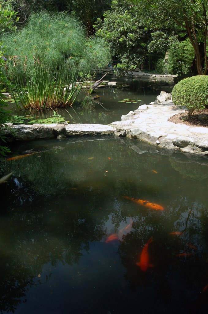 Zilker Park Botanical Japanese Garden, Роллингвуд