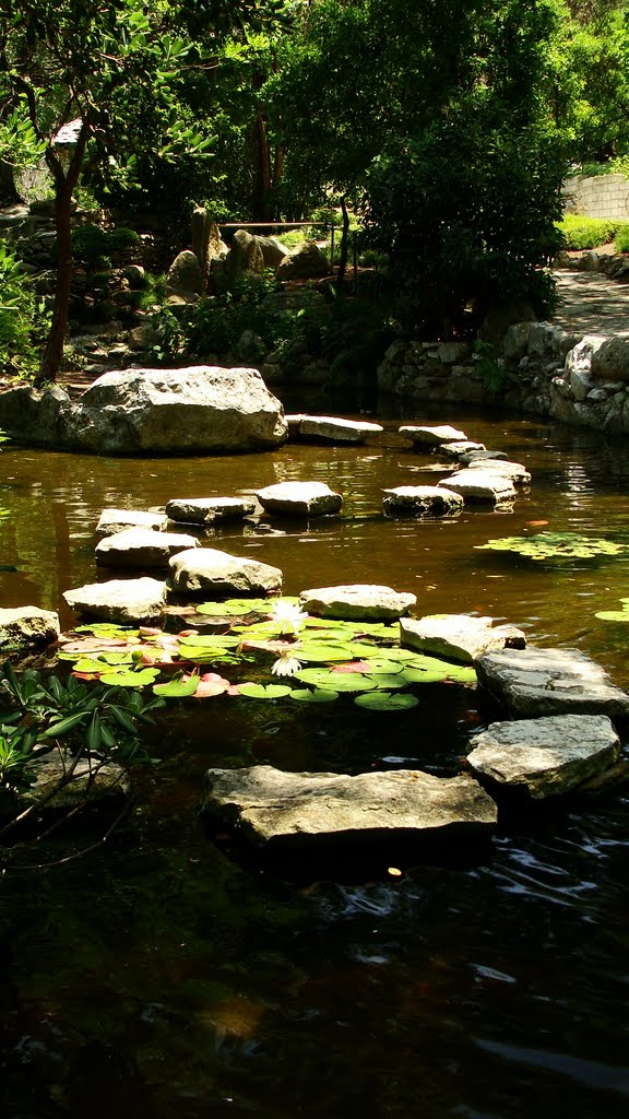Zilker Botanical Garden, Роллингвуд