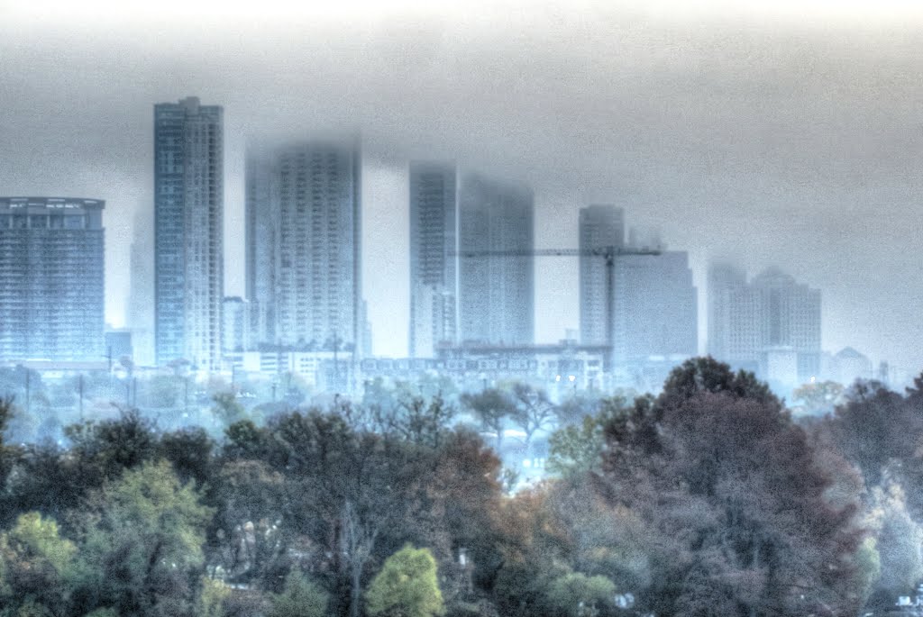 Austin Morning Fog, Роллингвуд