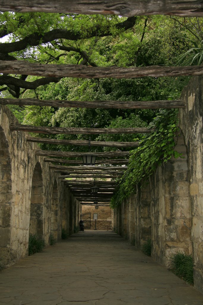 The Alamo - South Walkway, San Antonio, Texas, Сан-Антонио