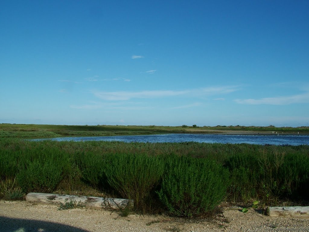 Bird Island, Padre Island National Seashore, Тафт