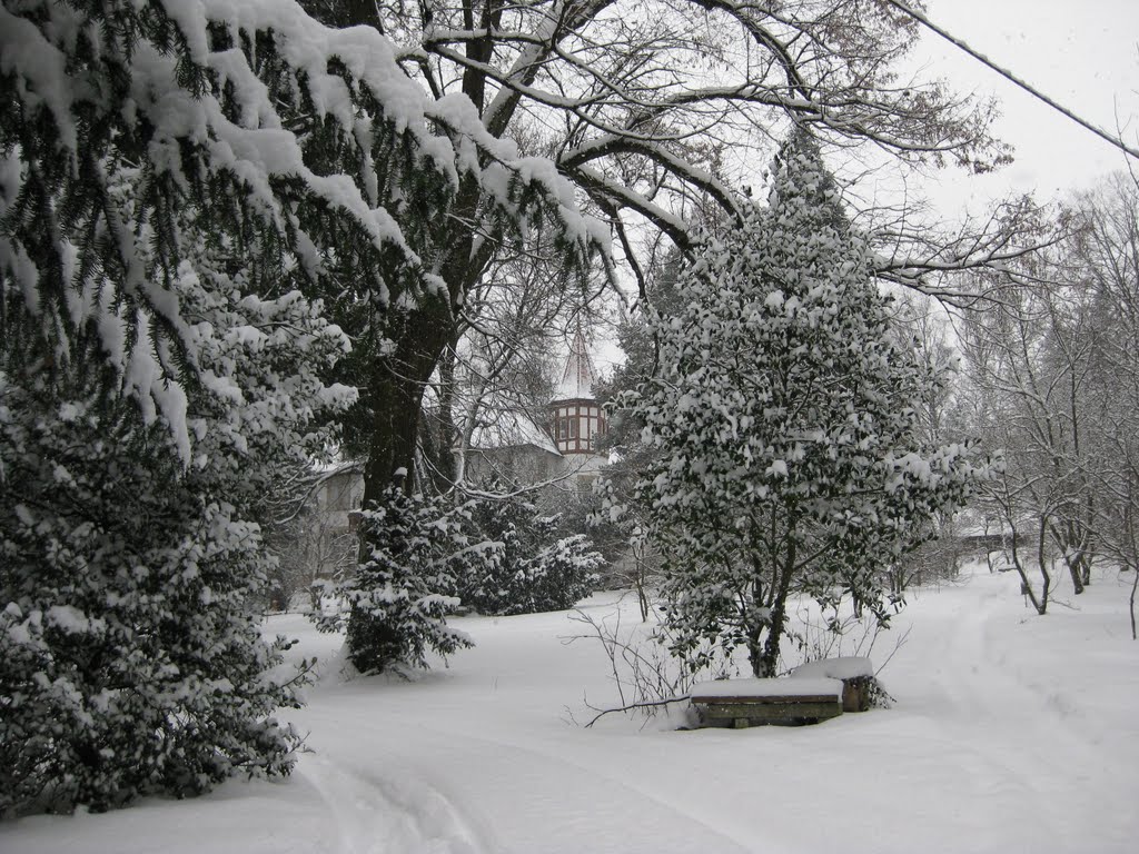 Krügerpark im Winter, Террелл
