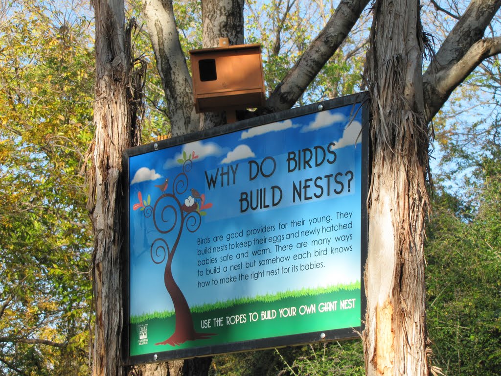 Why Do Birds Build Nests? .... and why dont you try it too?, Фармерс-Бранч