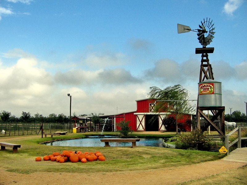 Dewberry Farm, Эль-Кампо
