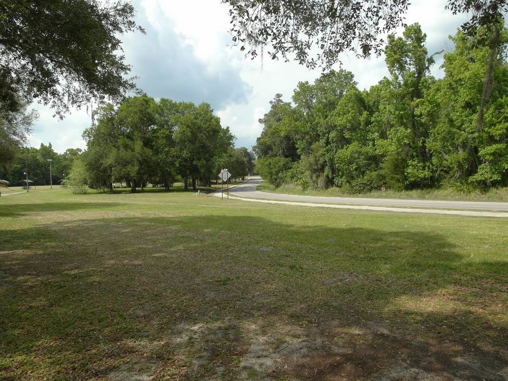 Tom Varn Park - Brooksville, Florida, Азали-Парк