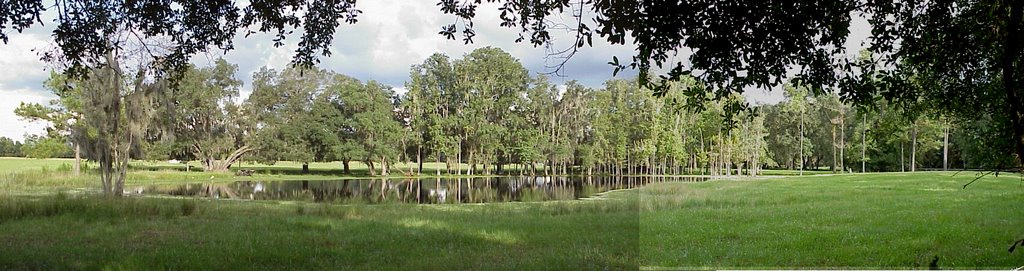 cypress pond, Saturn road, Hernando County, Florida (9-4-2002), Азали-Парк