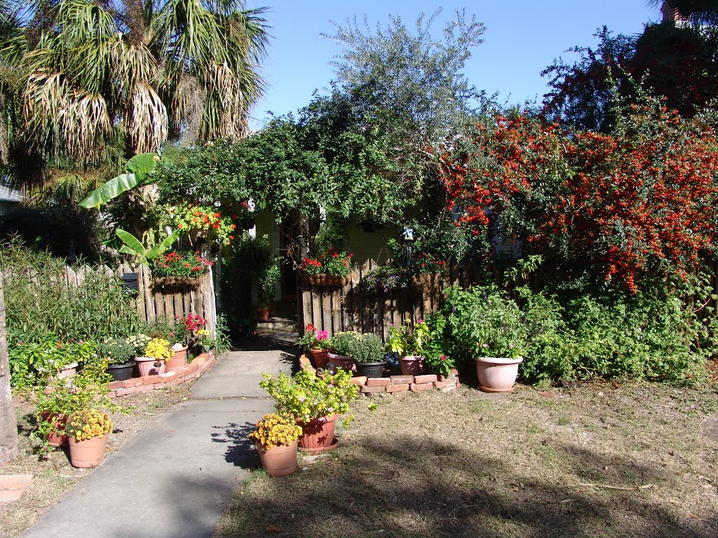 cool front yard, historic Apalachicola Florida (11-26-2011), Апалачикола