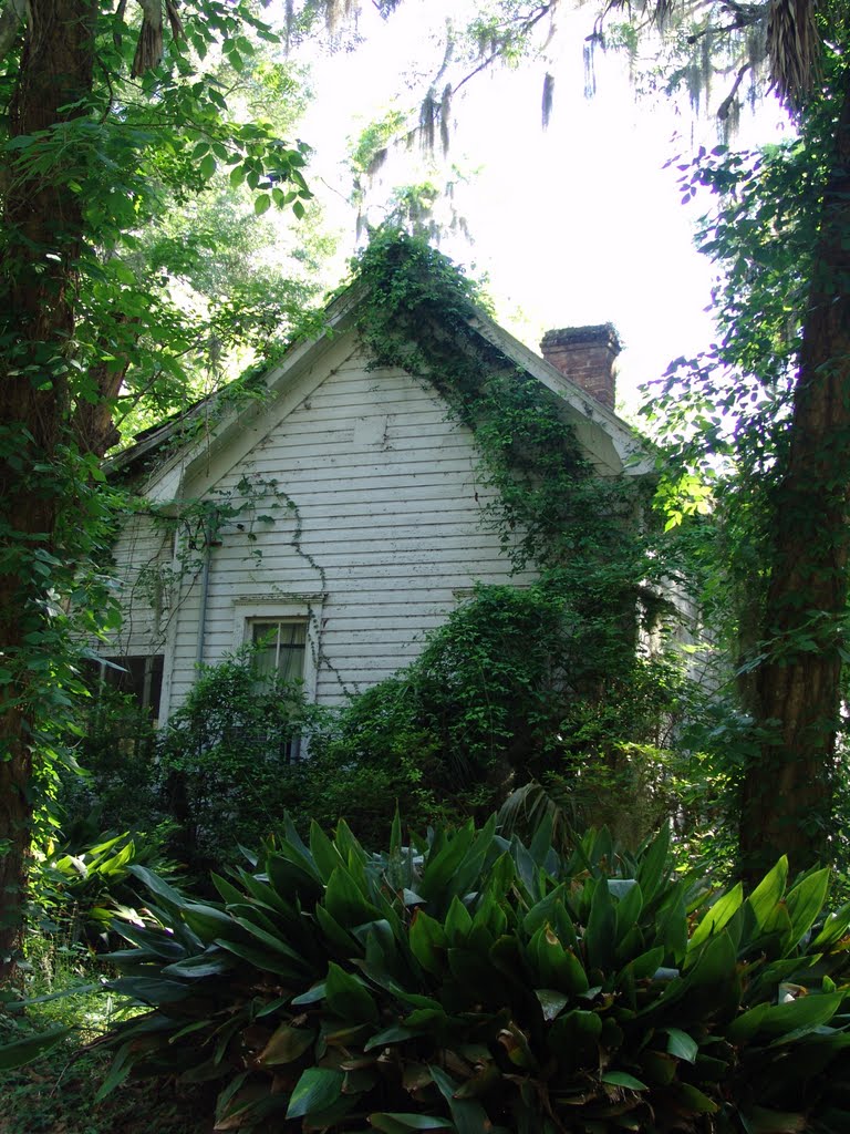 large cracker house in the weeds, Archer Fla (4-30-2011), Арчер