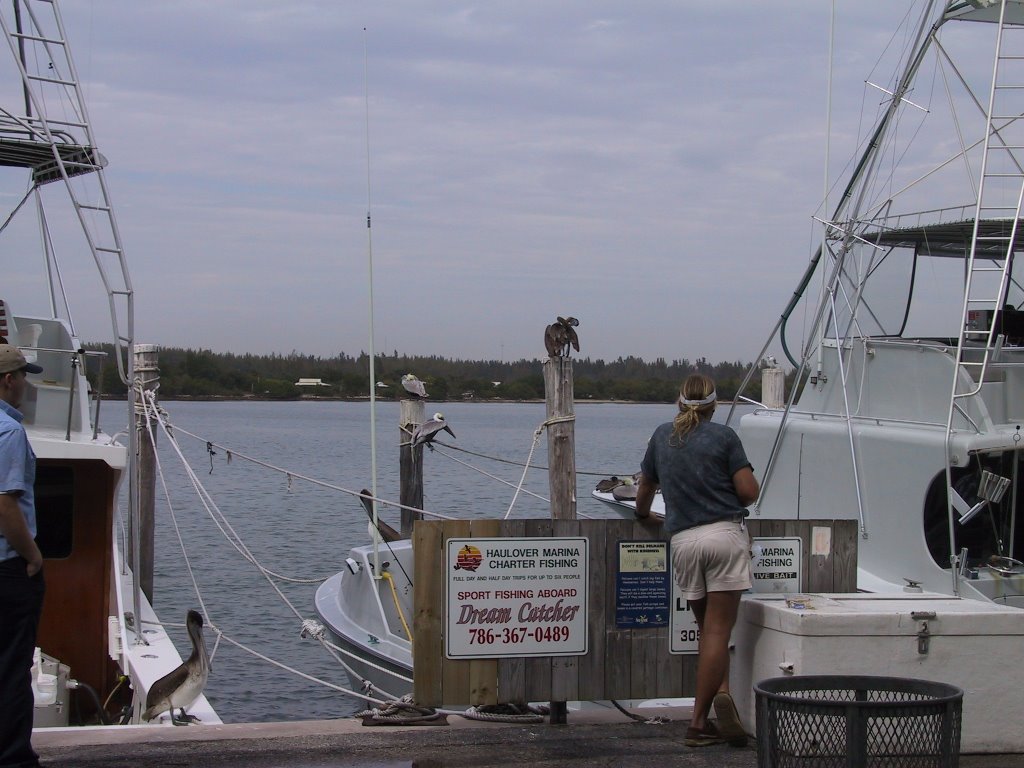 fishing boat north Miami, Бал-Харбор