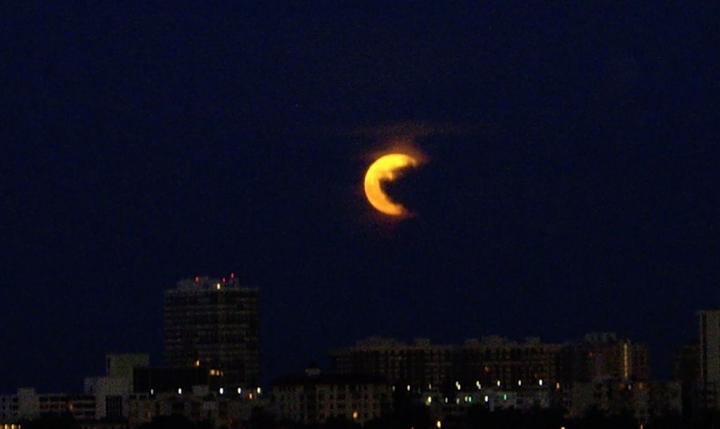 Moon Over Miami, Бал-Харбор