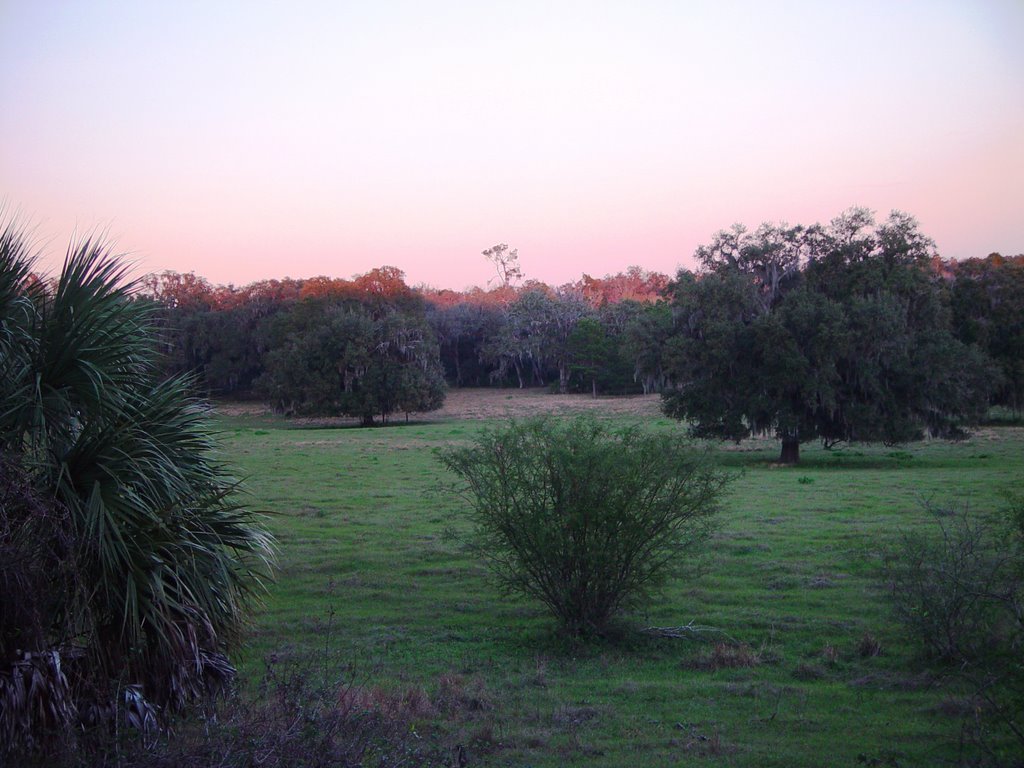 Lykes old fields at twilight, old Spring Hill, Florida (1-2007), Балдвин