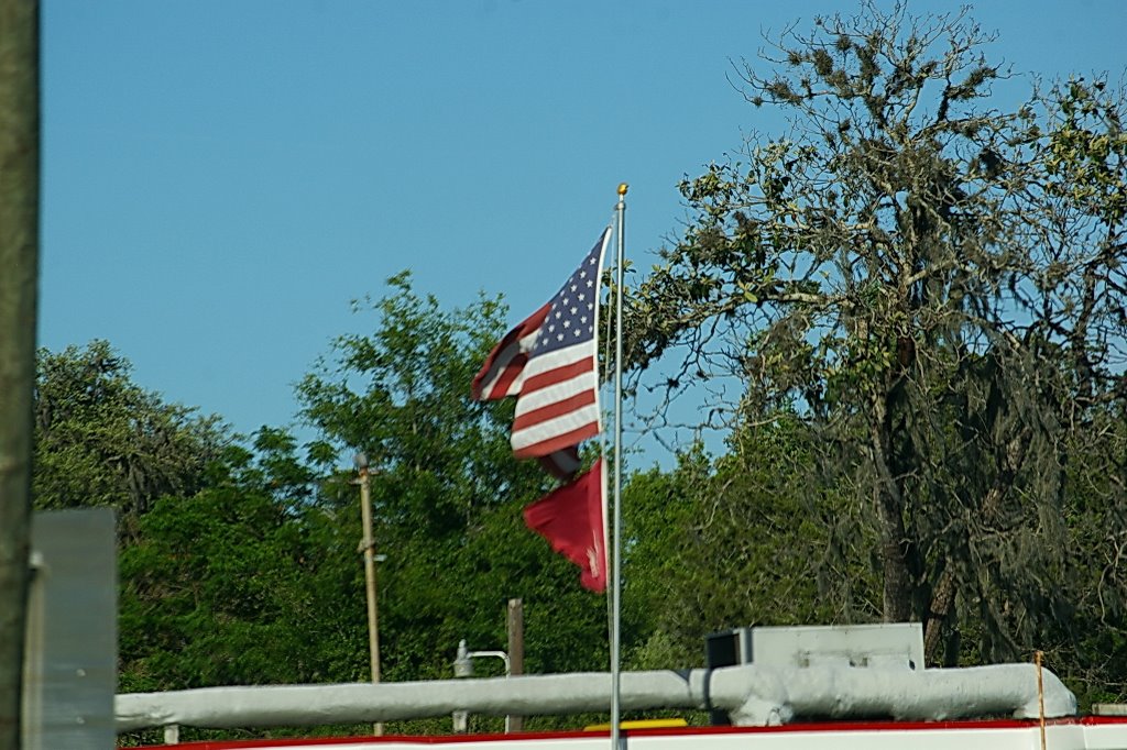 Bellview, Florida US flag, Бельвью