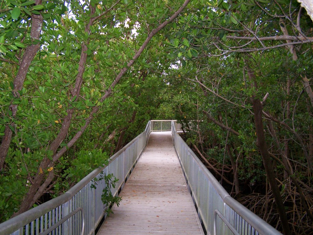 Mangrove Park Walkway, Бойнтон-Бич