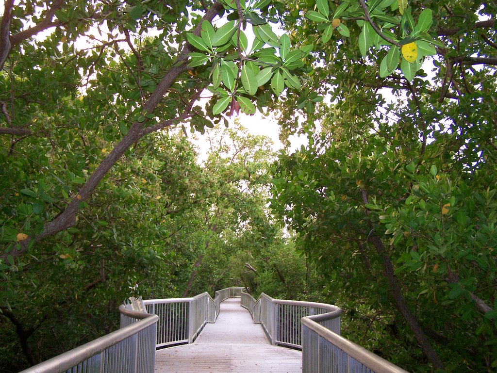 Mangrove Park Walkway 2, Бойнтон-Бич