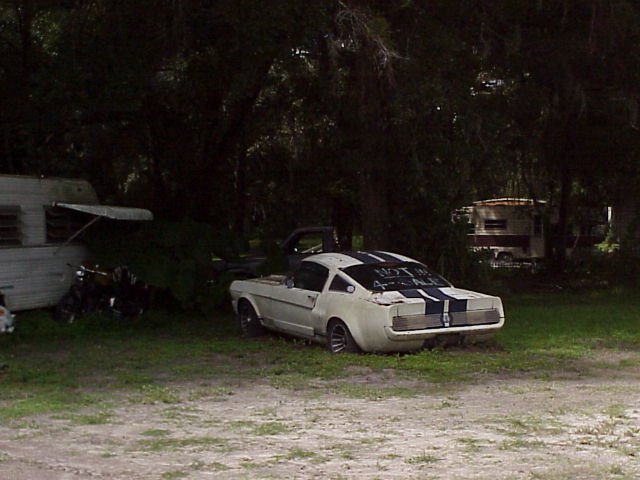 1966 Shelby GT350 in trailer park, NOT FOR SALE but it was, Brooksville Fla (2003), Бока-Рейтон