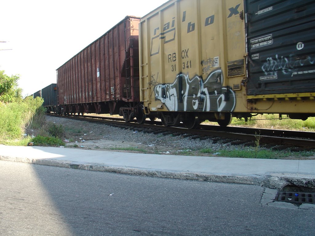 Rail Road on 13Th. Av. West by Harold Mendoza, Брадентон