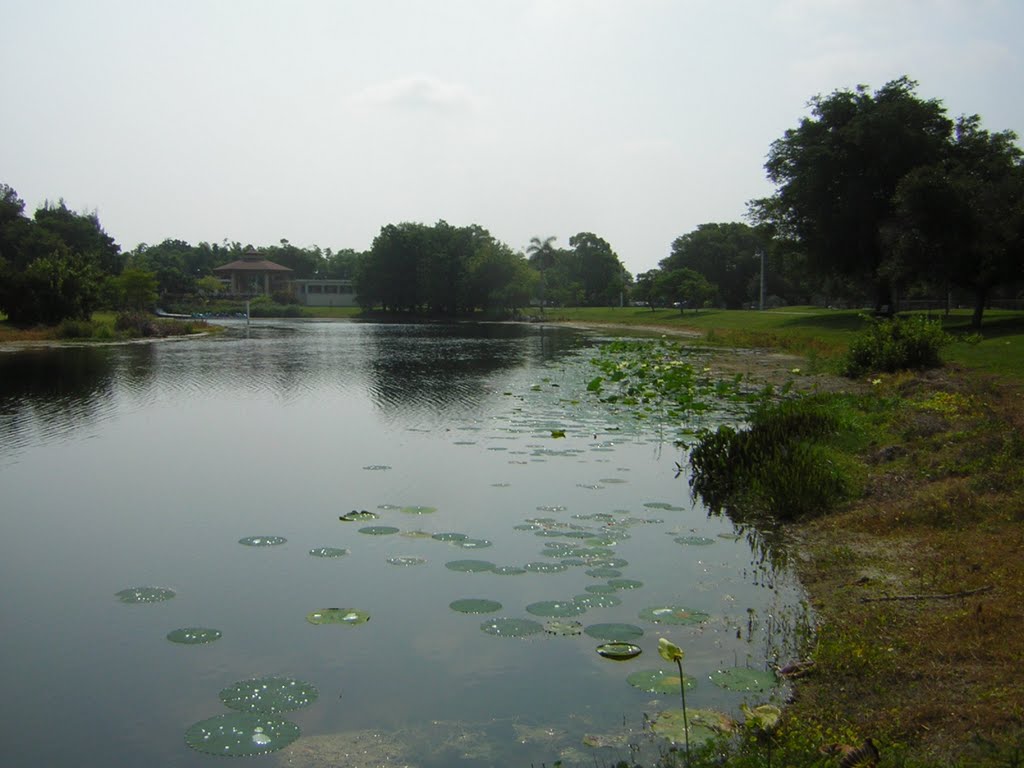 Shrinking Lake @ Beautiful Heritage Park, Plantation Fl., Бродвью-Парк
