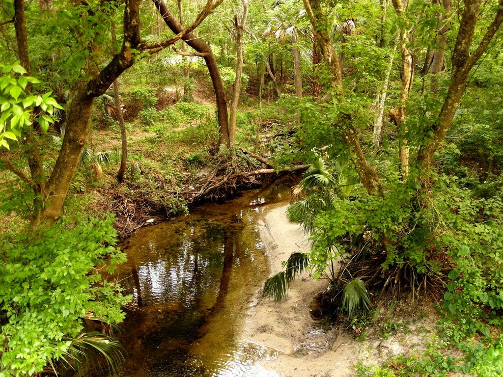 Gainesville Creek - Gainesville - Hawthorne Trail, Гайнесвилл