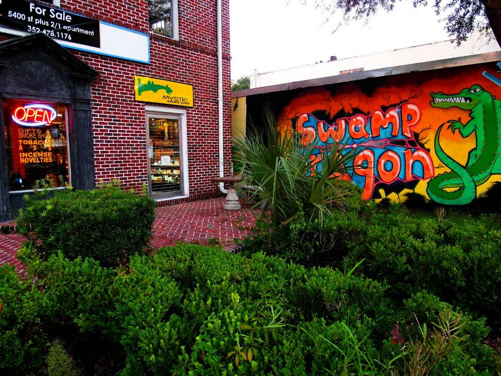 Swamp Dragon, Гайнесвилл