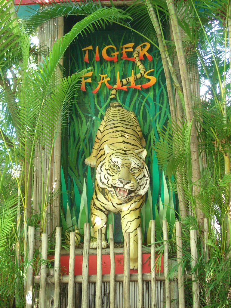 Tiger Falls at the Palm Beach Zoo, Глен-Ридж