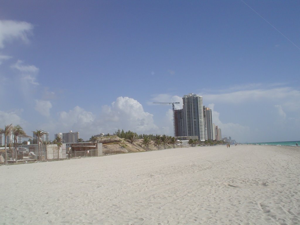 Sunny Isles Beach. Sunny Isles Beach is a major center of South Floridas Russian community, with a plethora of Russian stores lining Collins Avenue, the main thoroughfare through the city. The city is sometimes referred to as Little Moscow because of its , Голден-Бич