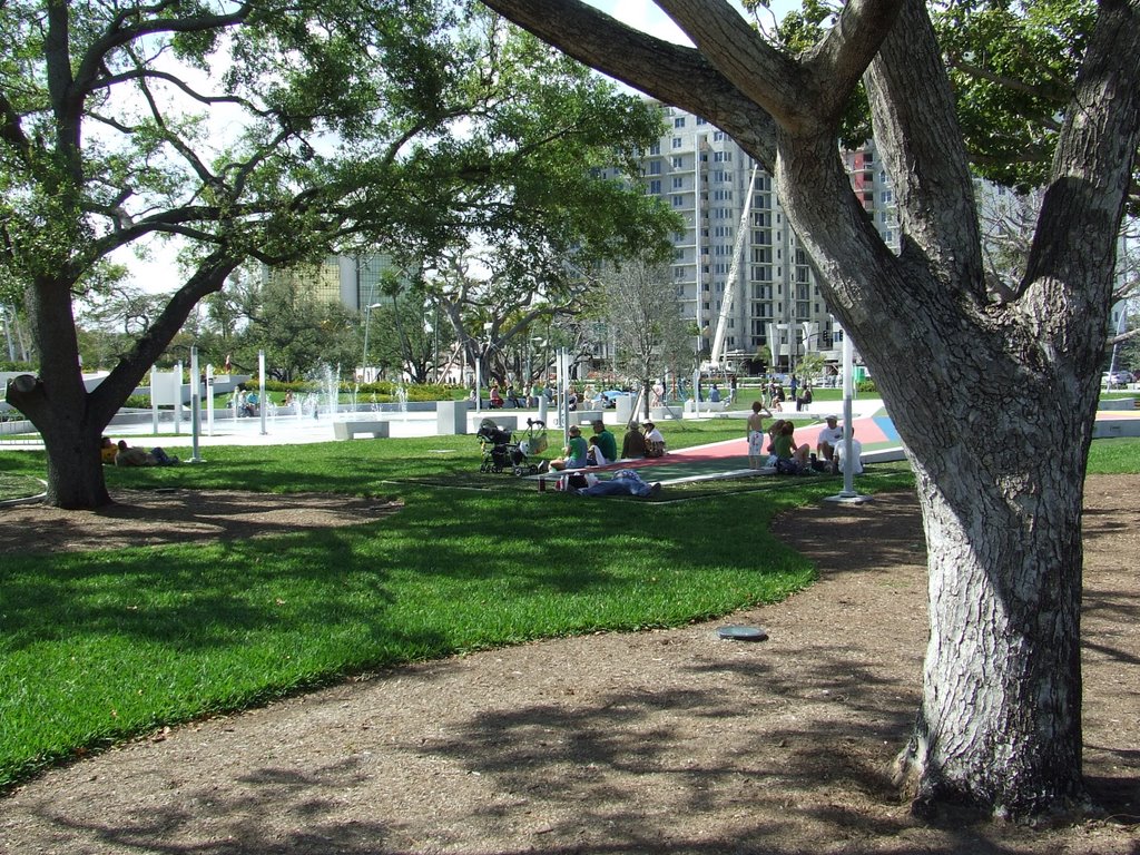 Young Circle Park, Голливуд