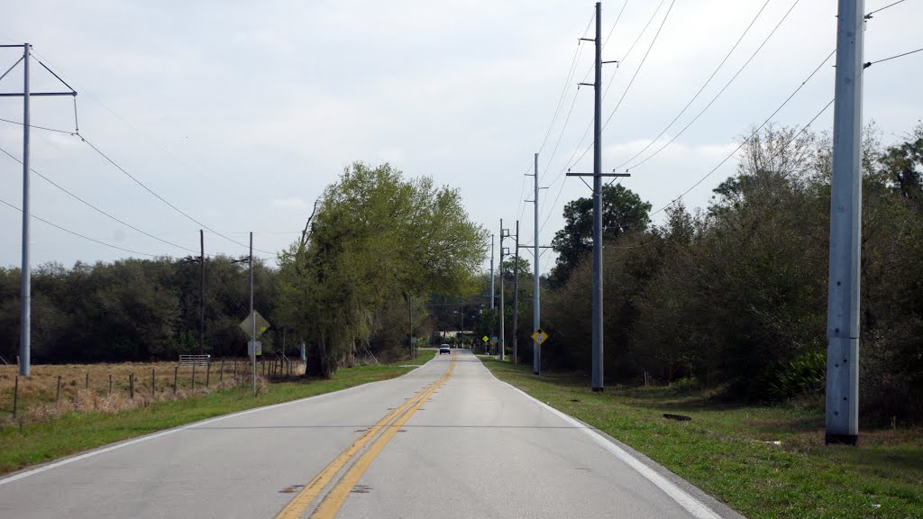 2014 02-25 Florida - Gordonville - Old Bartow, Eagle Lake Rd, Гордонвилл