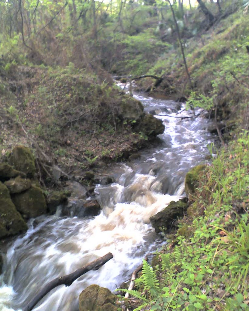 Florida waterfall, a natural phenomenon, drains 17 square miles of Brooksville into a sinkhole, photo taken just after 1.24 inches of rain fell, Peck Swallet, Wiscon (3-29-2010), Деви