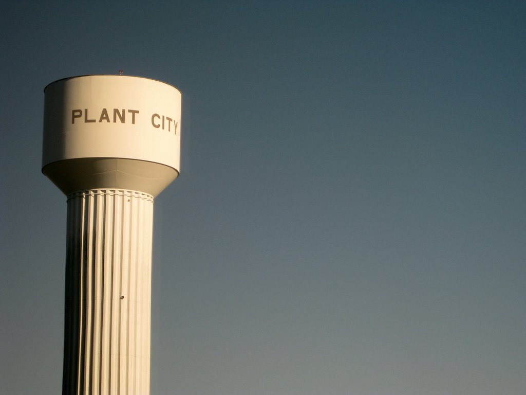 Plant City Water Tower, Довер
