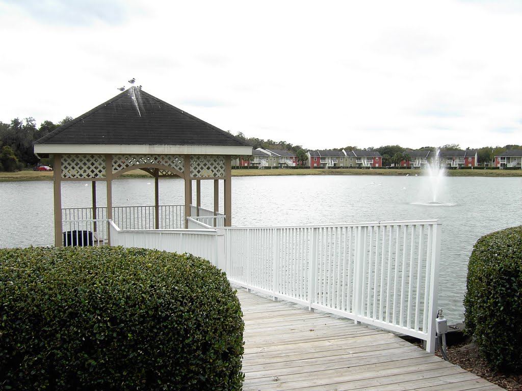 Hendrics Lake, Tampa; FL, Довер