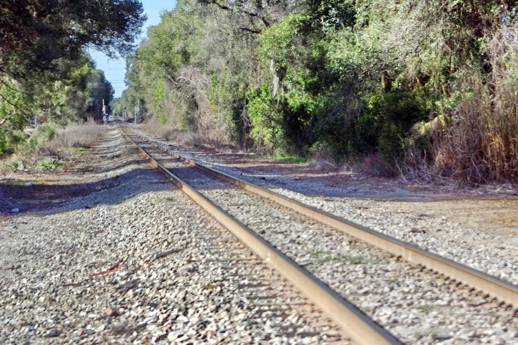 2012, Along Rte 60 - railroad tracks, Довер