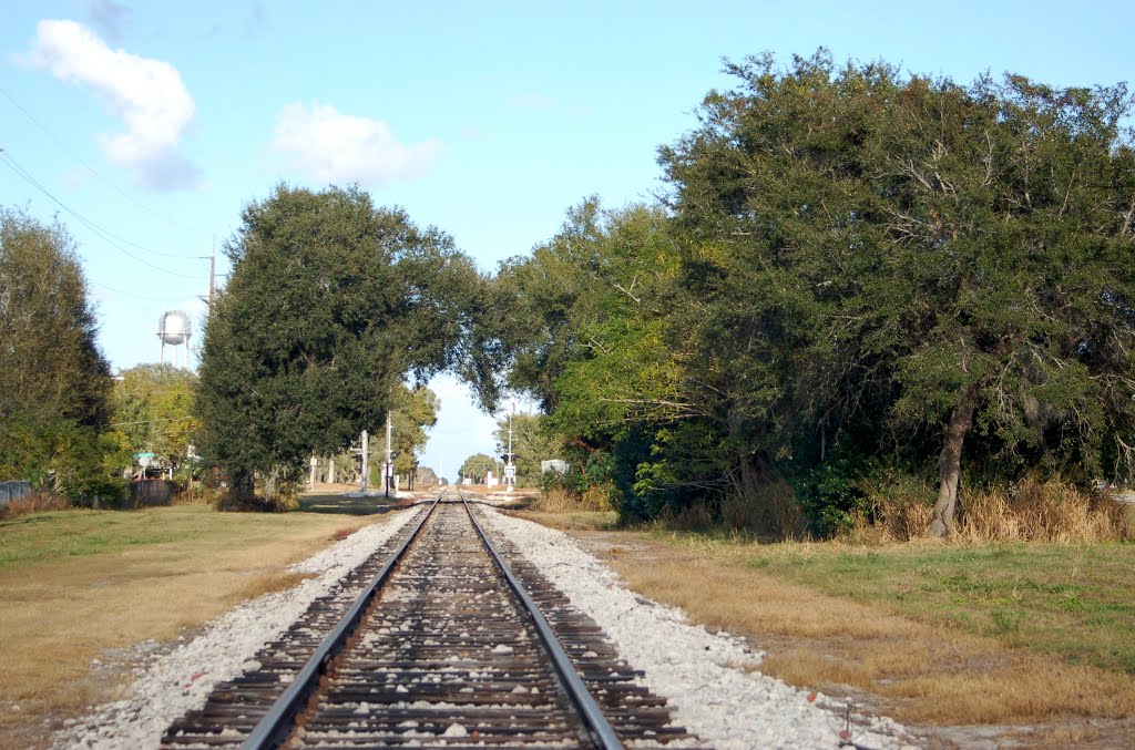 Florida Midland Railroad Mainline, looking North, at Eagle Lake, FL, Игл-Лейк