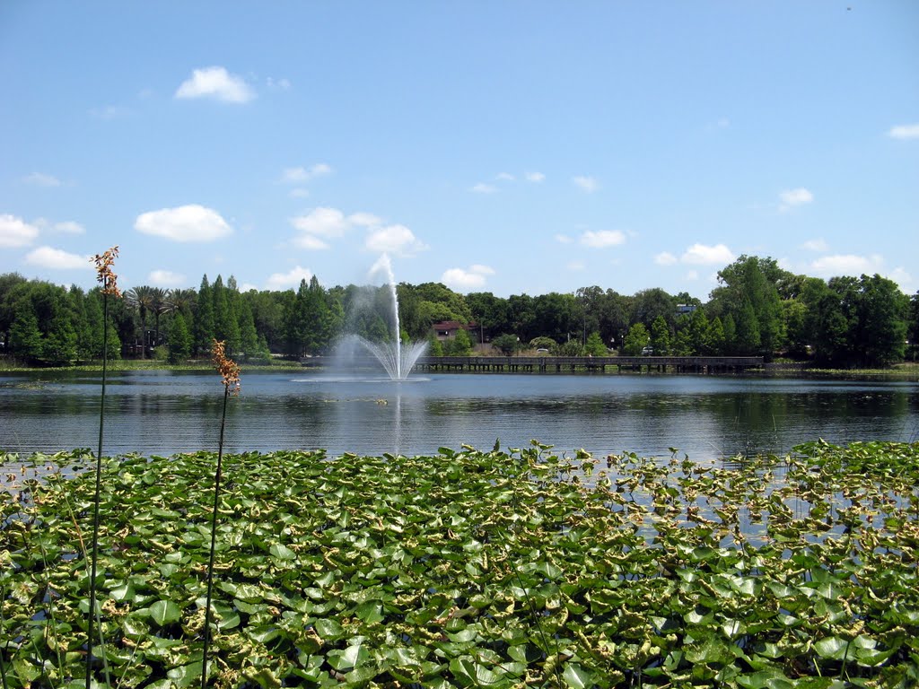 Lake Lily Fountain, Итонвилл