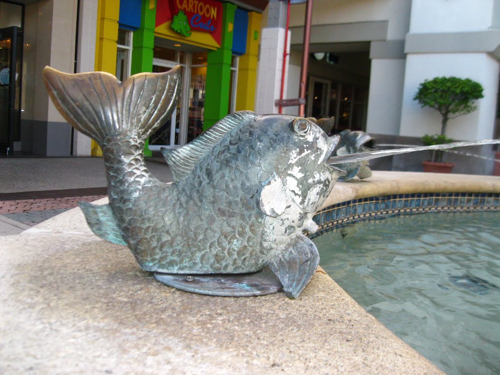 Fountain Fish at The Falls, Miami Dade County., Кендалл