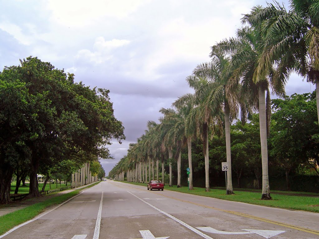 Palmetto Bay - Miami Dade County, Кендалл