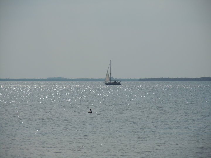 Sailboat in the Harbor., Кливленд