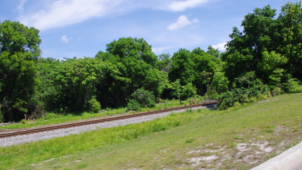 2014 04-05 Lake Alfred, Florida - Rte 92 - along rails, Лейк-Альфред