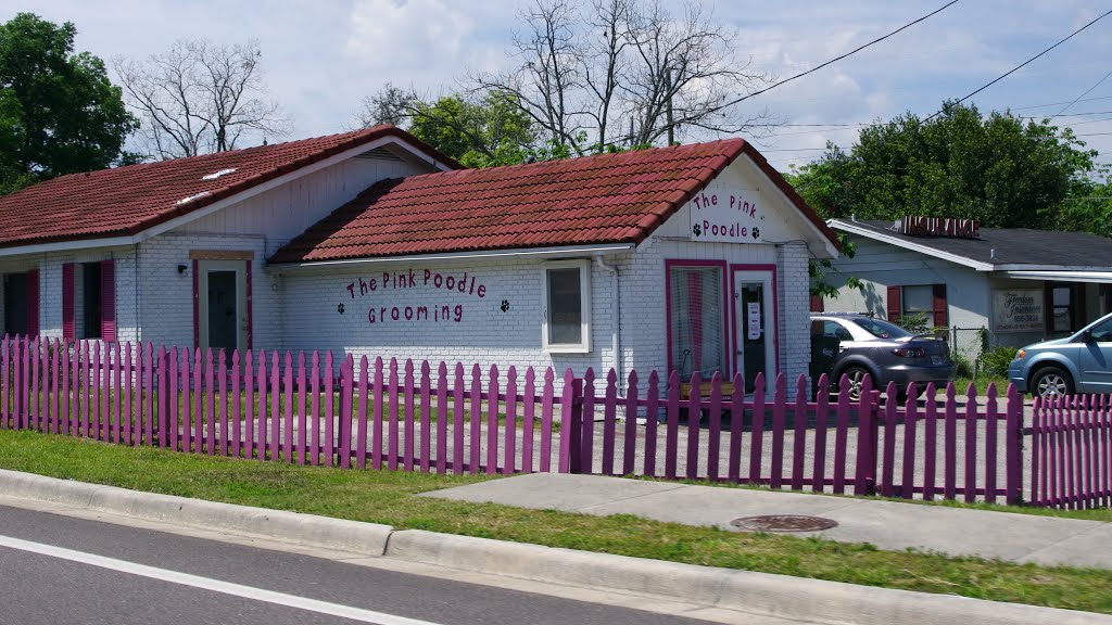 2014 04-05  Lake Alfred, Florida - The Pink Poodle, Лейк-Альфред