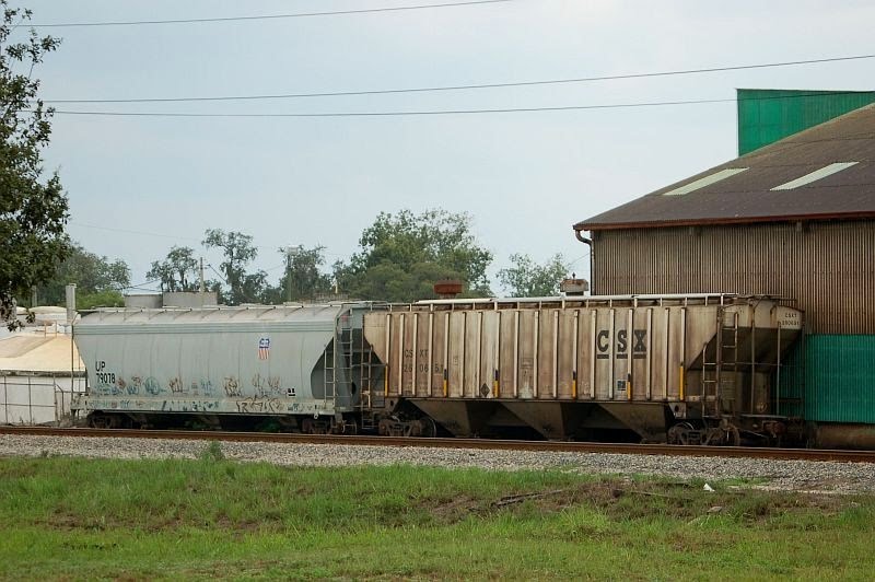 CSX Transportation Covered Hopper No. 260651 and Union Pacific Railroad Covered Hopper No. 79078 at Lake Alfred, FL, Лейк-Альфред