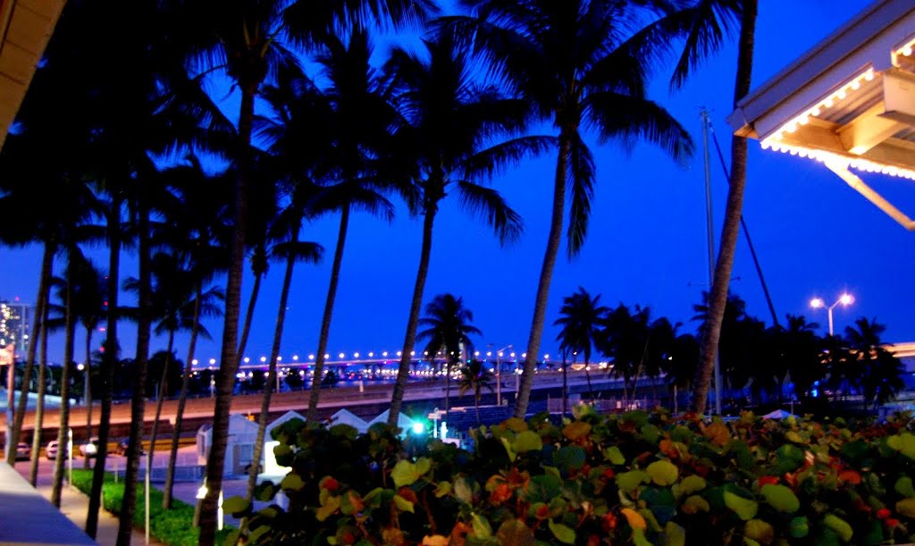 Bayside at night, Майами