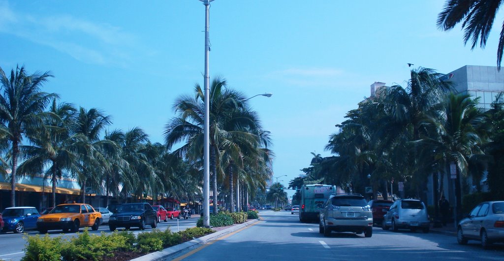 Miami Beach—Washington Avenue, Майами-Бич