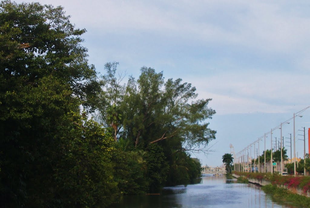 Canal del rio Okeechobee, Майами-Спрингс