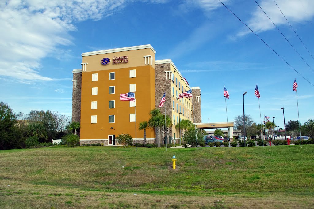 2012, Tampa, FL, USA - Comfort Suites, Манго