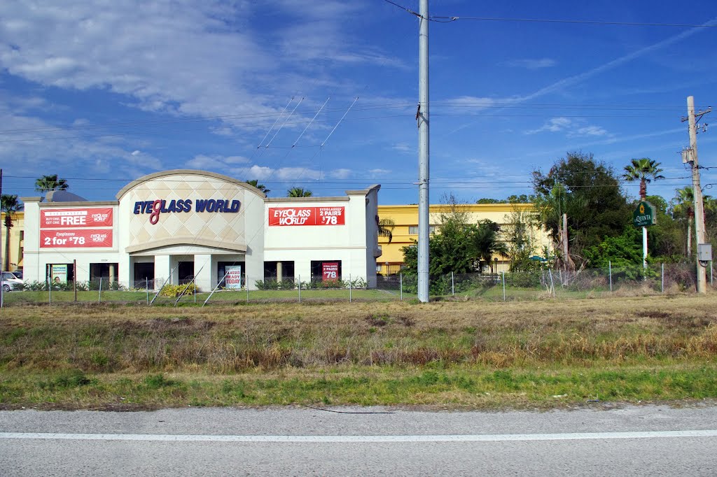 2012, Tampa-Brandon, FL - E Adamo Dr., Манго
