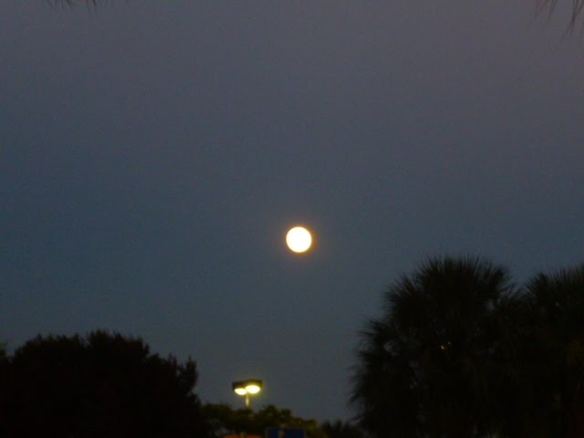 Full Moon over Margate, Fl 8/1/12, Маргейт